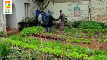 Horta Urbana Urban Farm (+) Parque Urbano da Independência